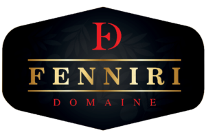 logo_fenniri_new__1_-1-removebg-preview